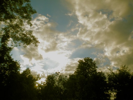 Summer Sky