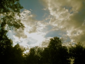 Summer Sky