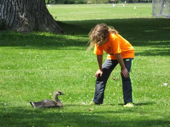 Gosling and boy