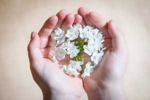 LeekFlowerHands