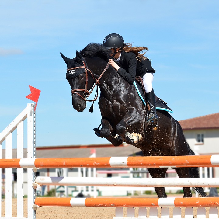 horse-jumping