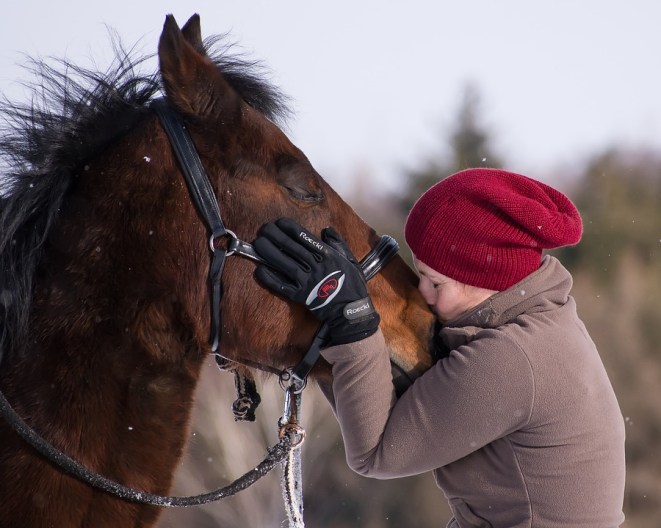 horse-kiss