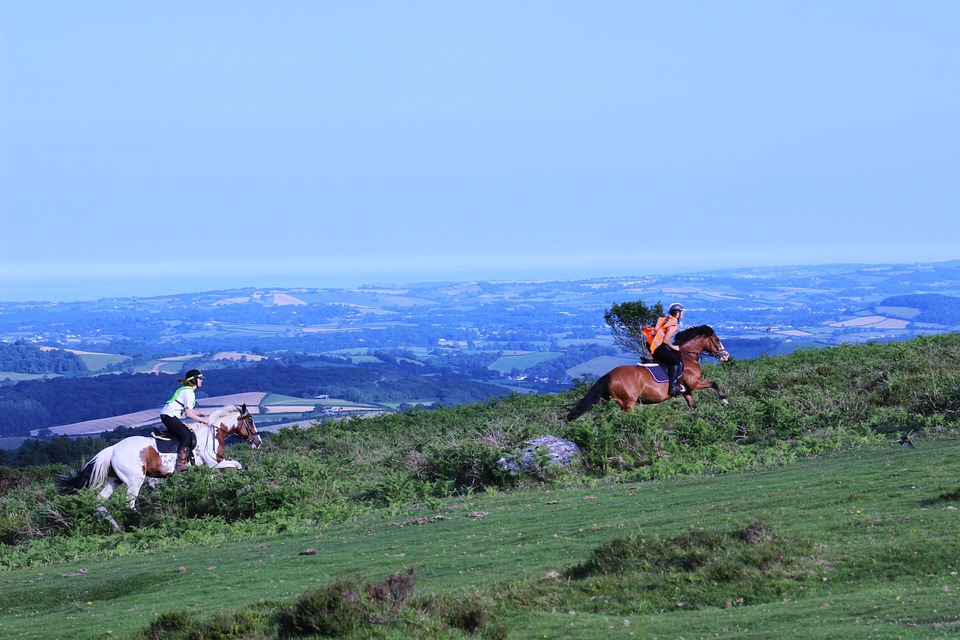 horse-riding-view