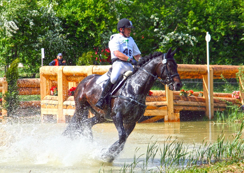 horse-three-day-event