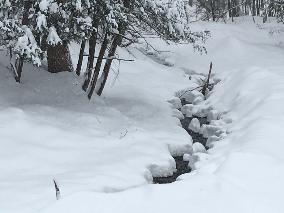 CreekSnowChristianne