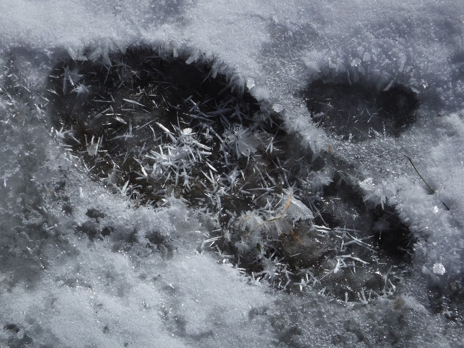 SnowCrystalFootprintChristianne