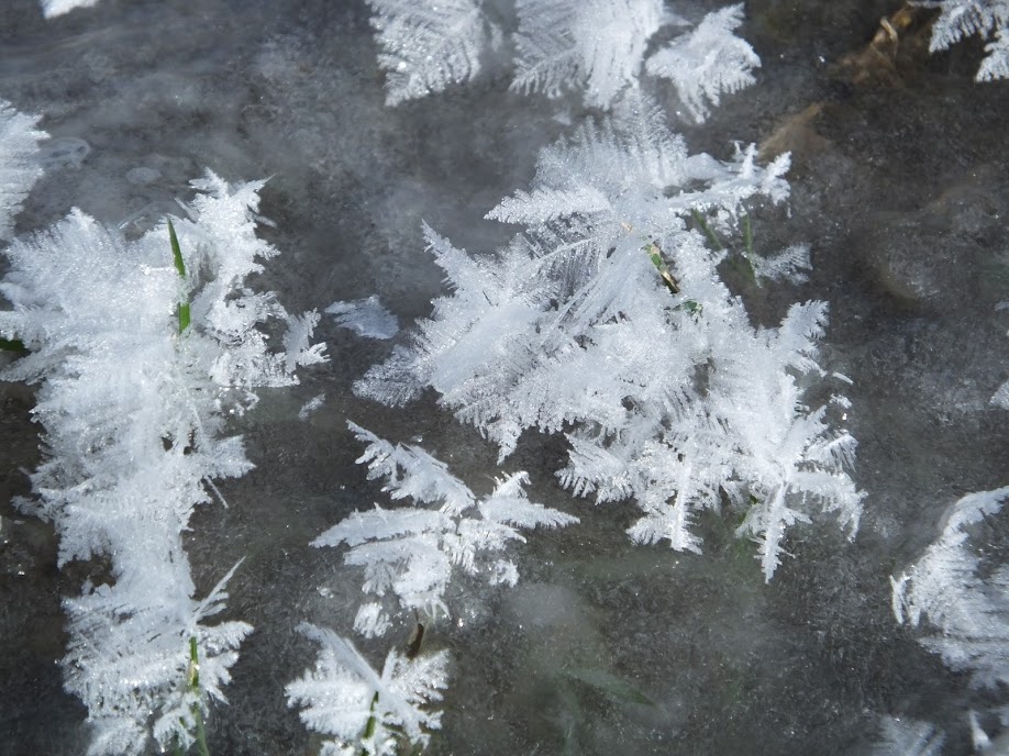 SnowCrystalsChristianne