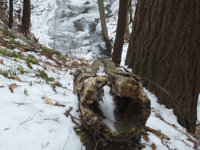 SnowLogStreamChristianne