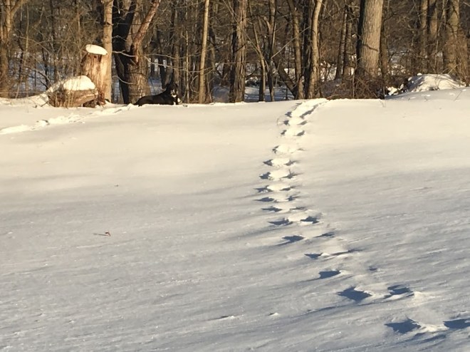 SnowTracksChristianne