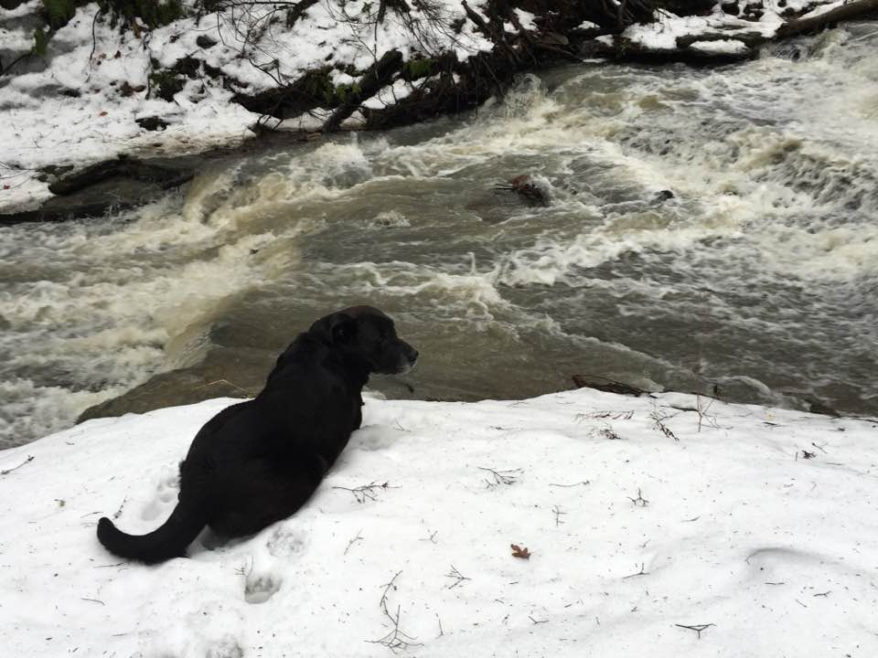 StellaInSnowByFalls