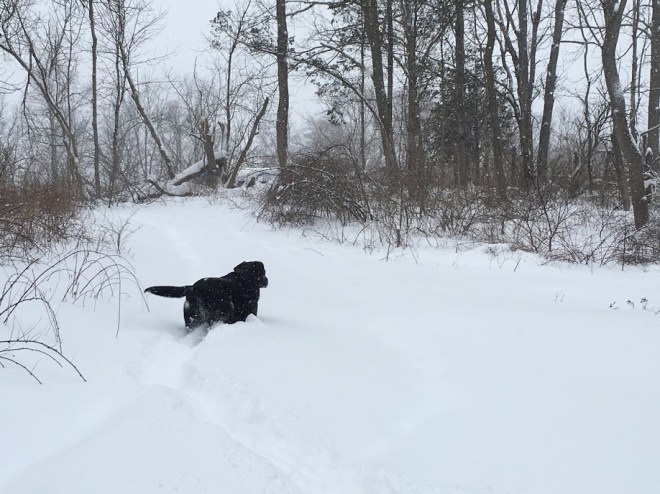 StellaSnowWalkingChristianne