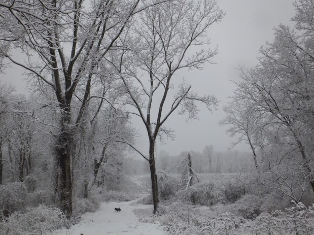 Walking In A Winter&nbsp;Wonderland