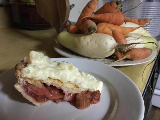 StrawberryRhubarbTapioca