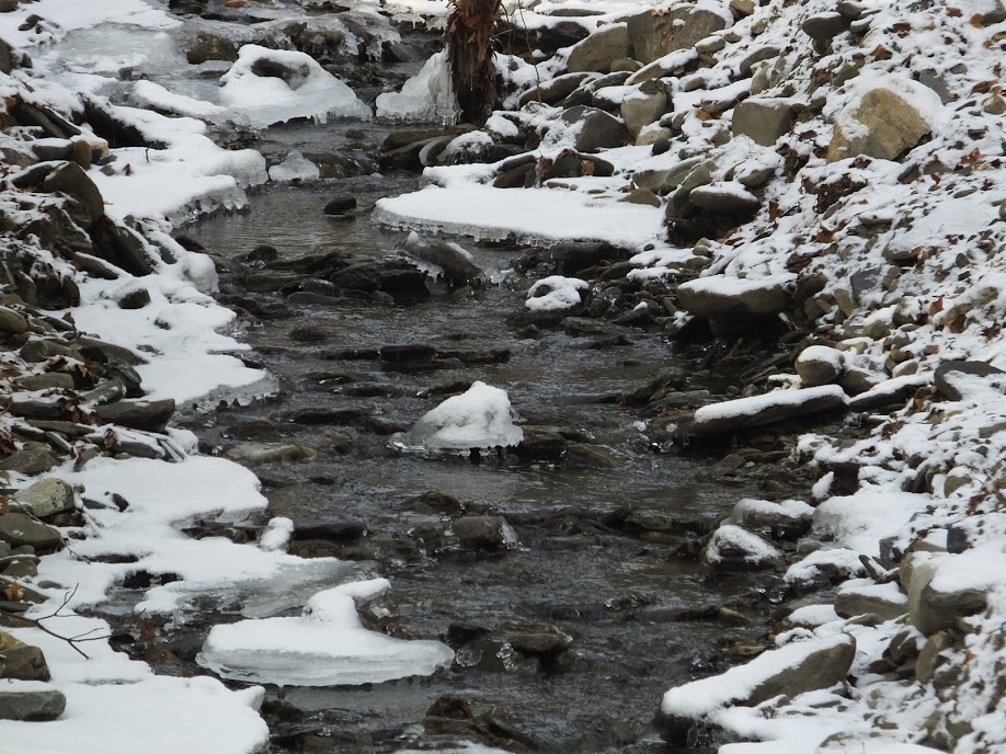 StreamSnow1Christianne