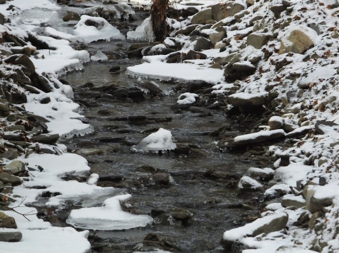 StreamSnow1Christianne