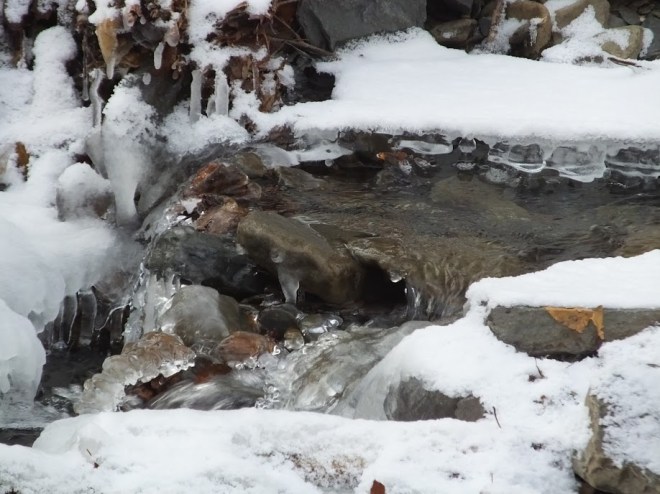 StreamSnow2Christianne