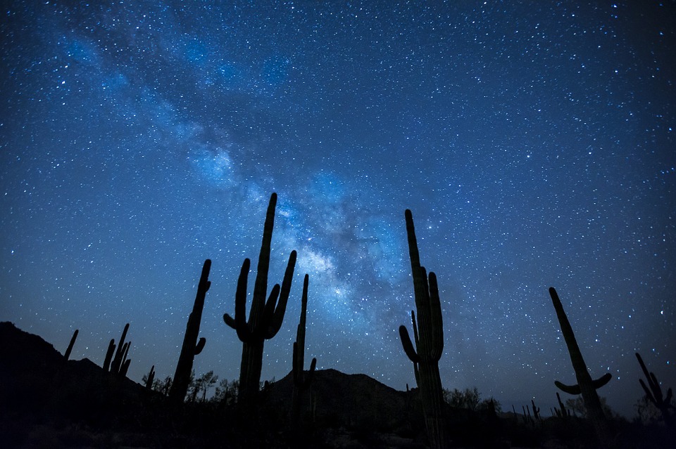 Stars-Cactii