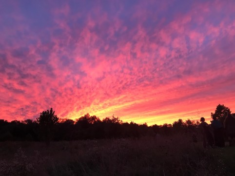 A&amp;S Wedding Sunset