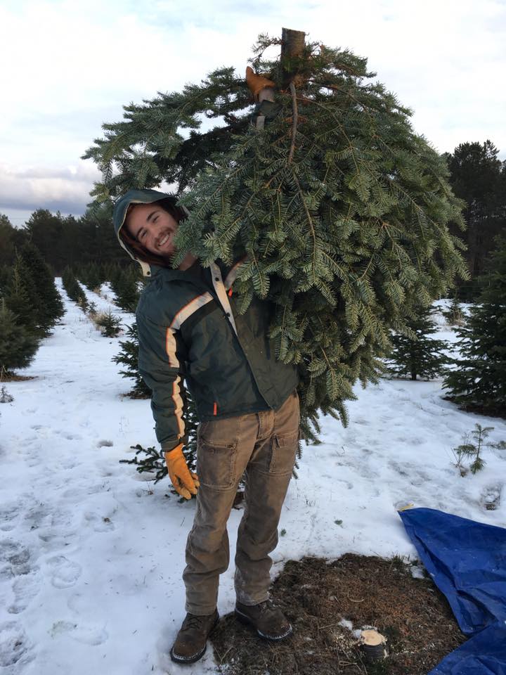 JasperHoldingTree