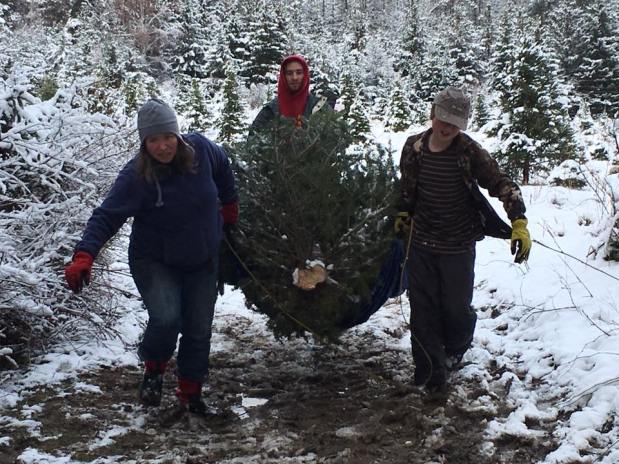 We Need A Little&nbsp;Christmas!