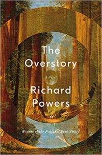 Overstory