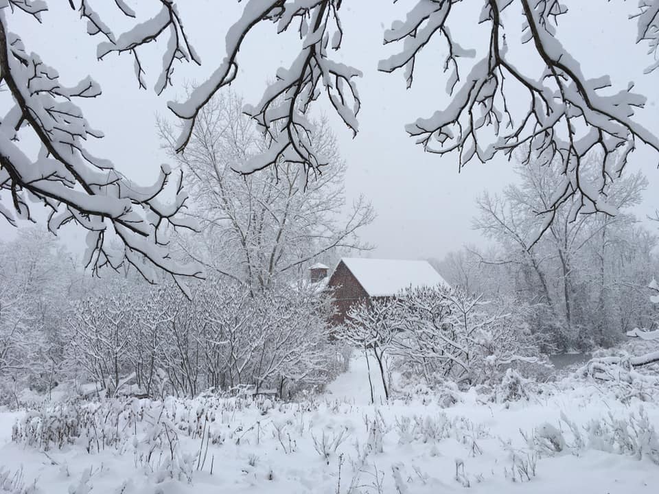 SnowBranchesBarn