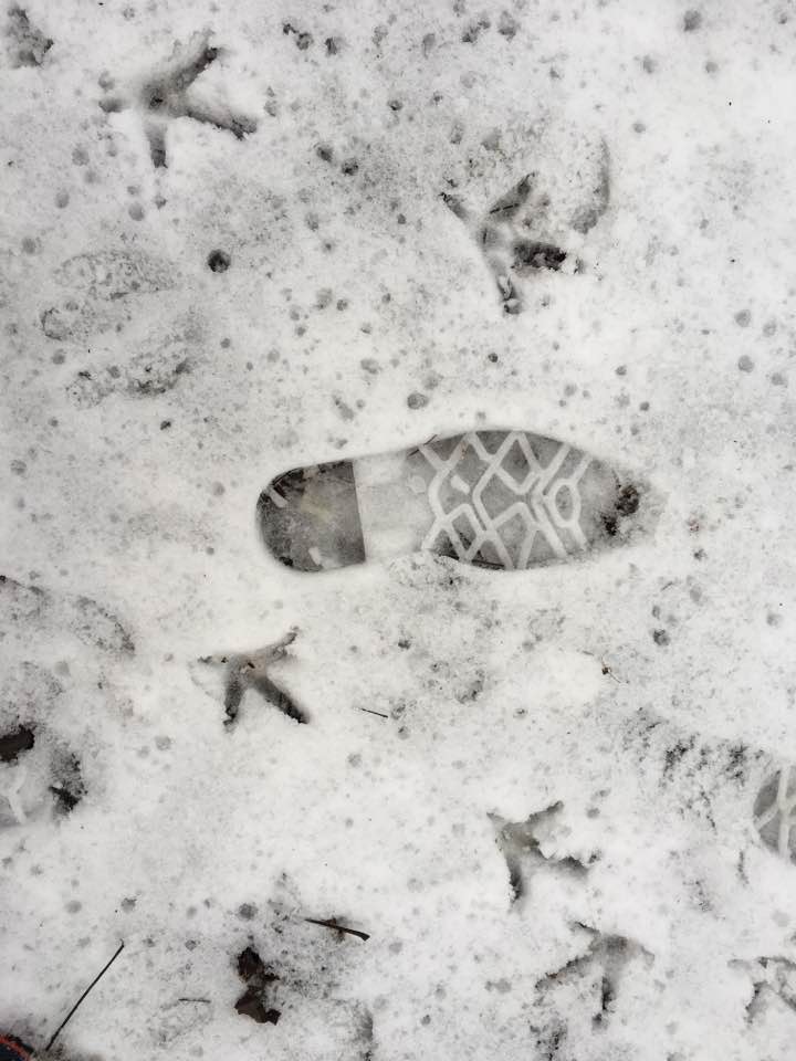 SnowFootprints