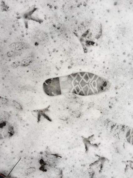 SnowFootprints