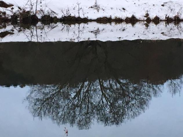 SnowPondReflection