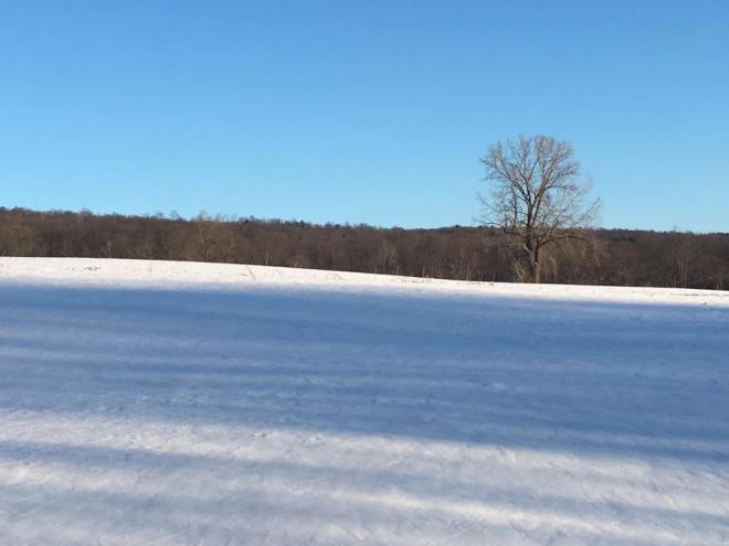 SnowyBlueFieldAt Farm