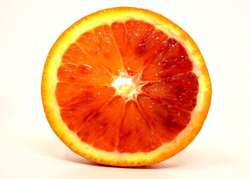 blood-orange-3170545_1920