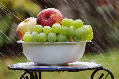 bowl-of-fruit-in-rain-4125348_1920