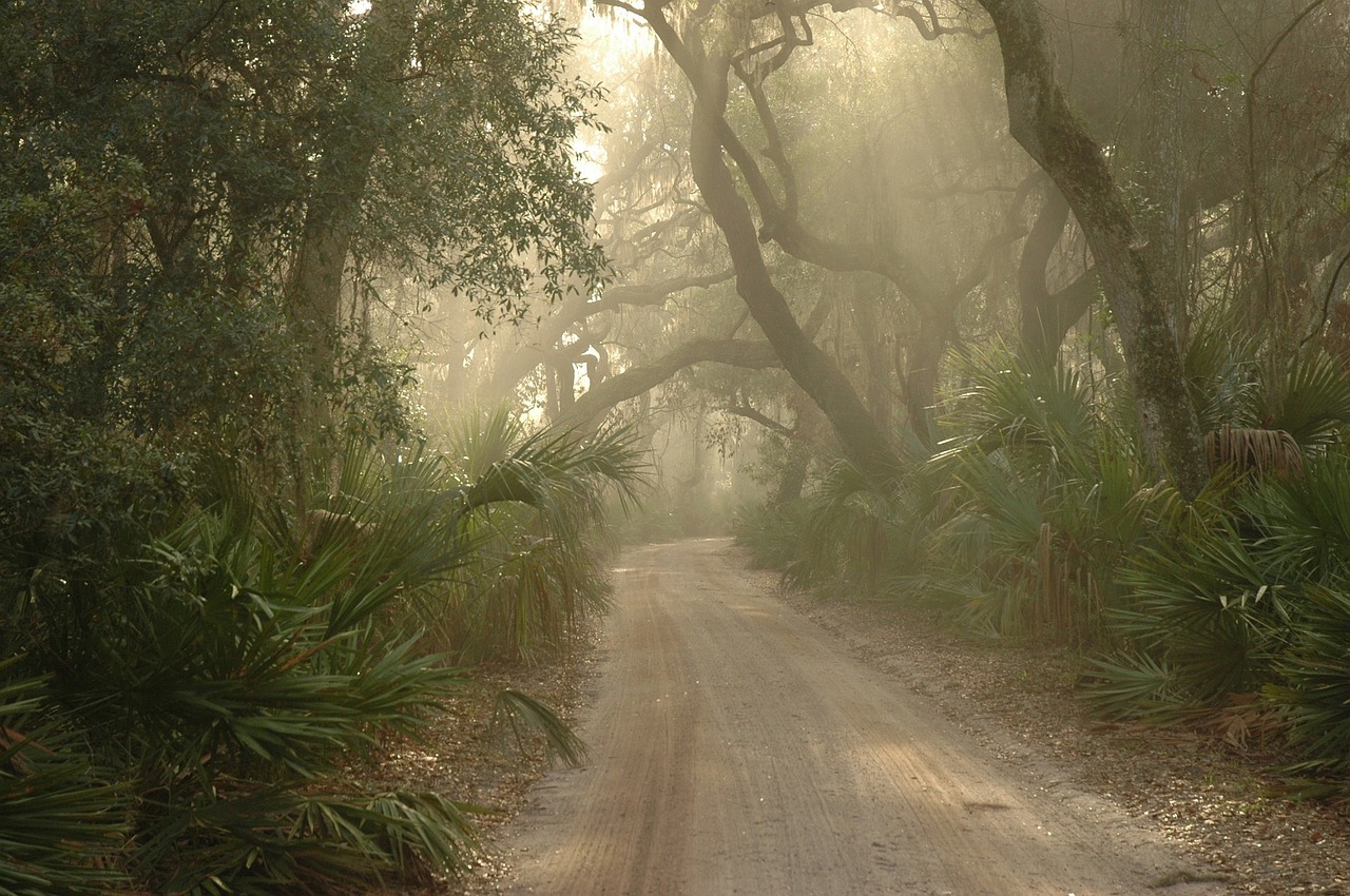 CumberlandIslandGA