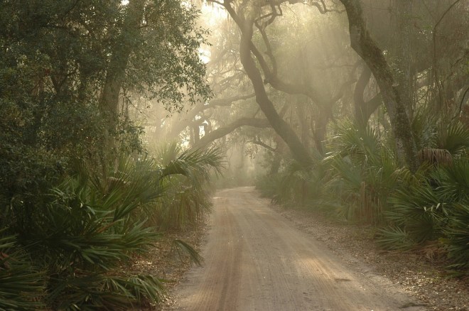 CumberlandIslandGA