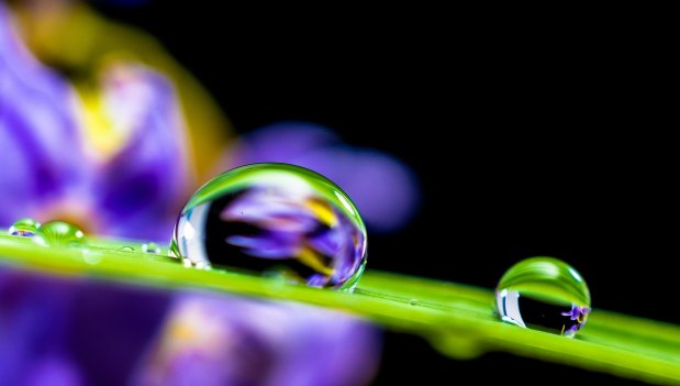 Ode To Water