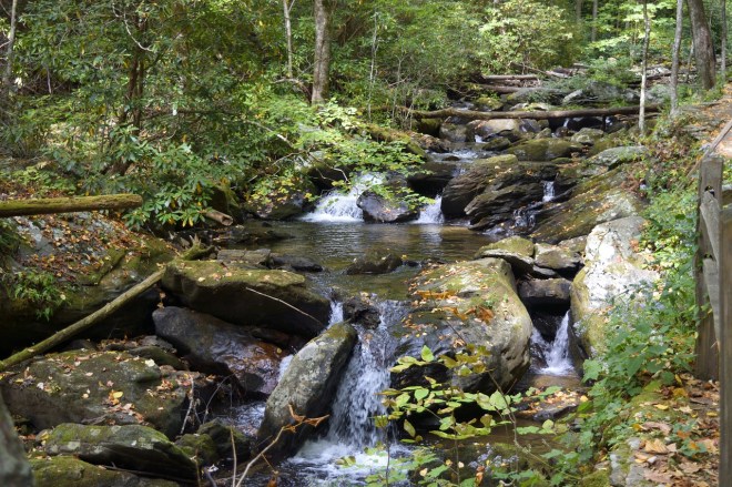 Georgia-Stream