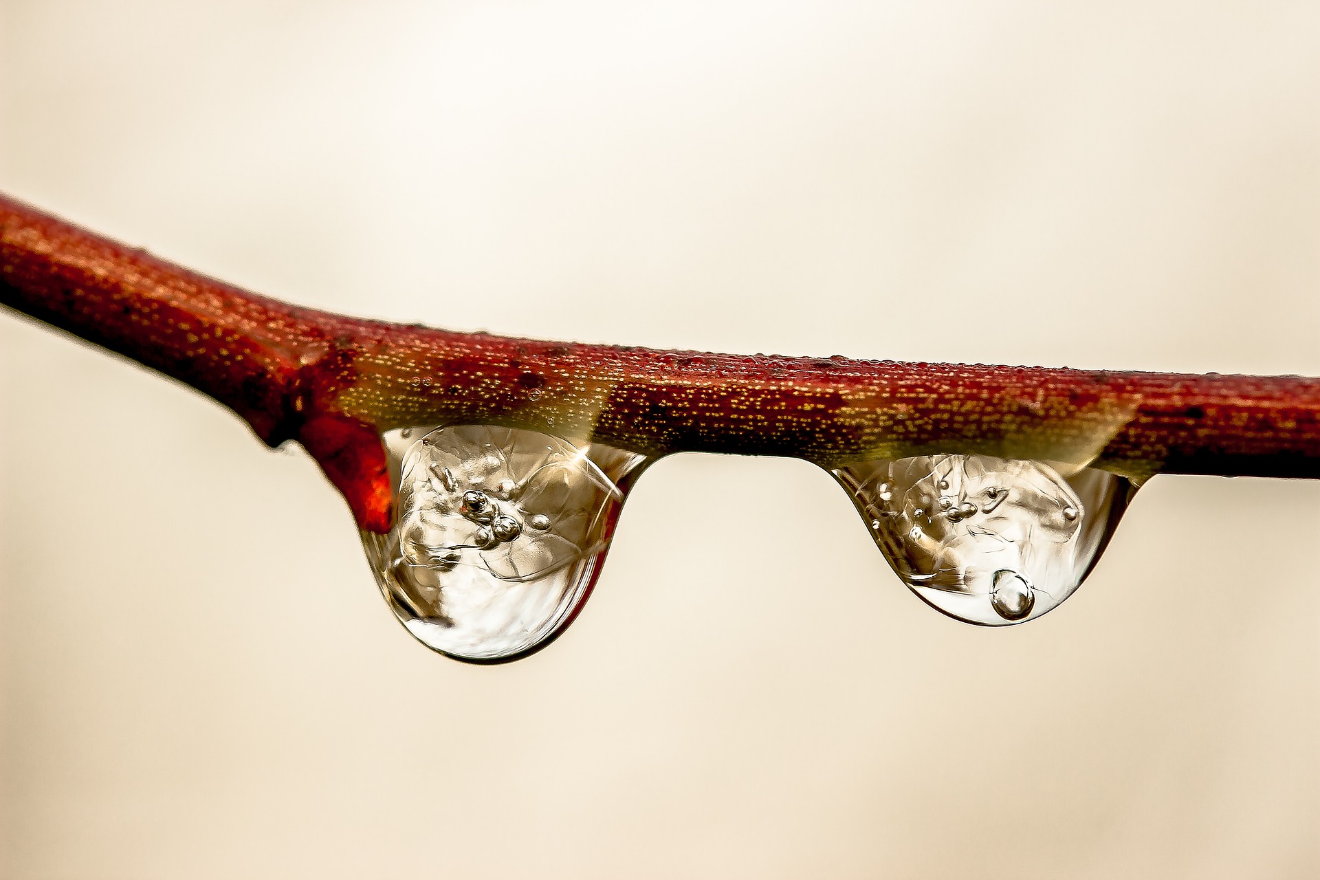 raindrop-1913347_1920