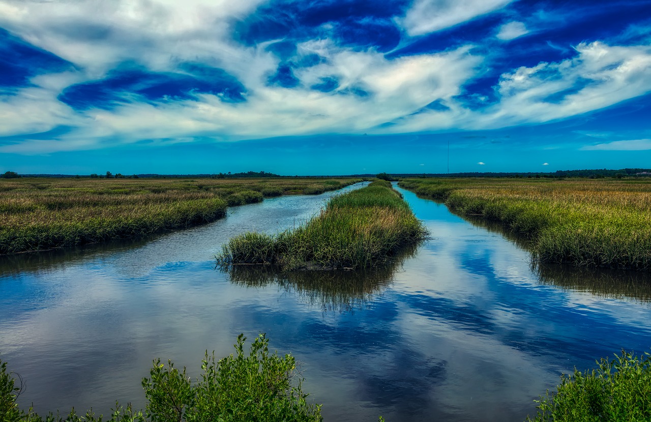 south-carolina-marsh