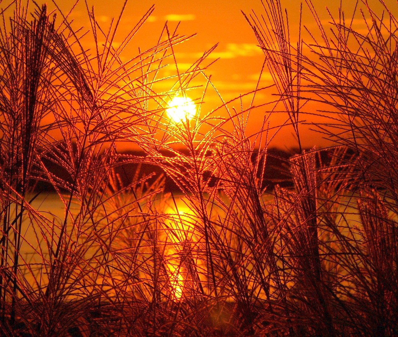sundown-1045129_1280