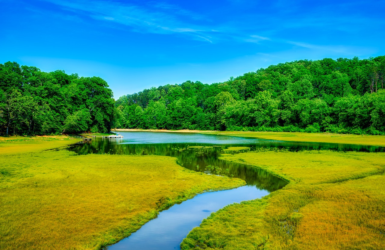 tugaloo-river-georgia