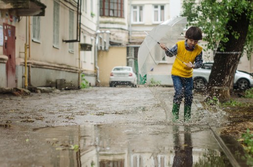 umbrella-2863648_1920