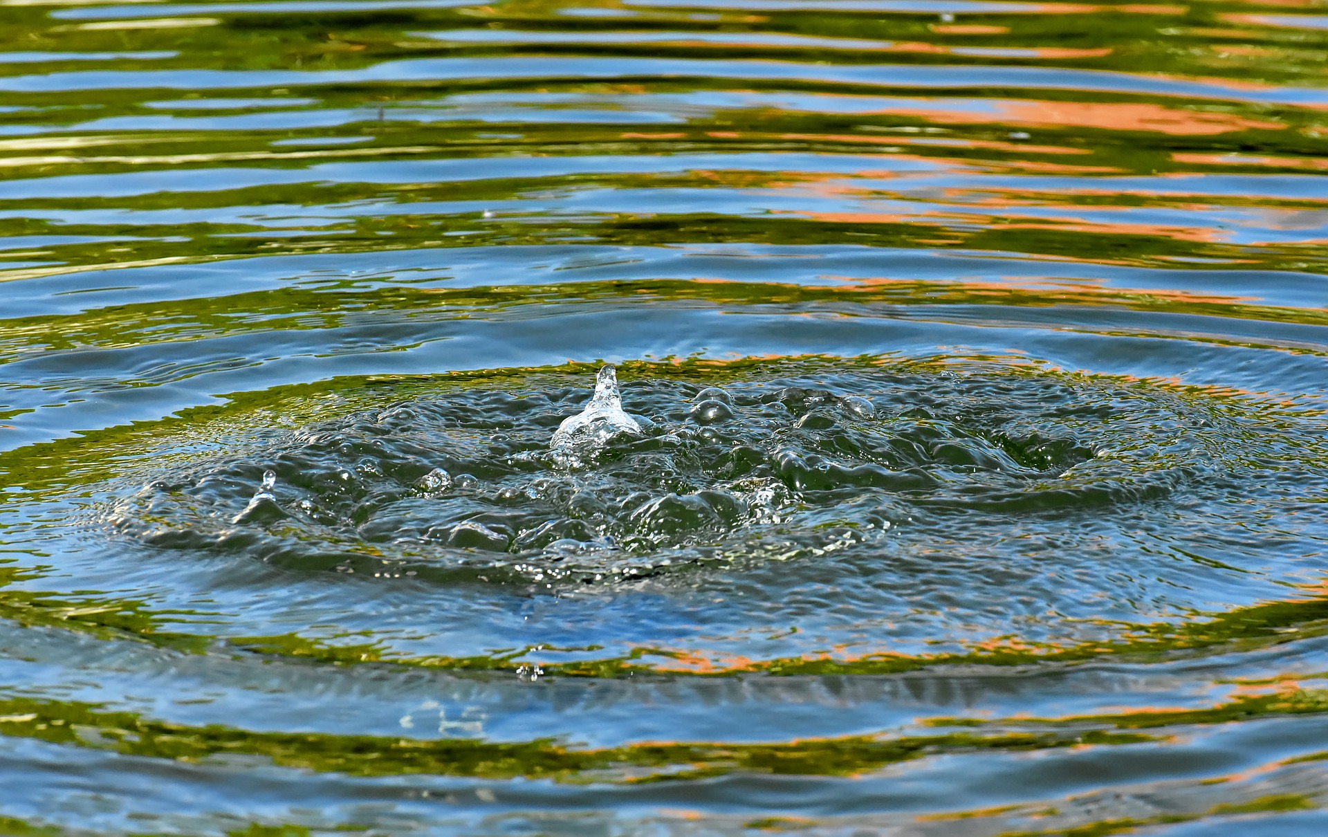 water-4177006_1920