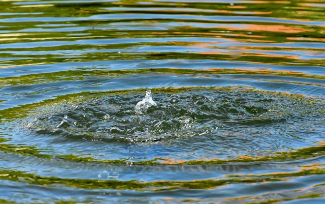 water-4177006_1920