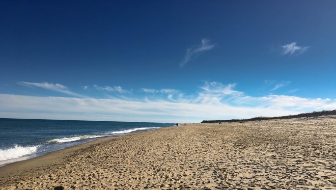 beach-2084555_1280