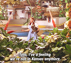 NotInKansasAnymore